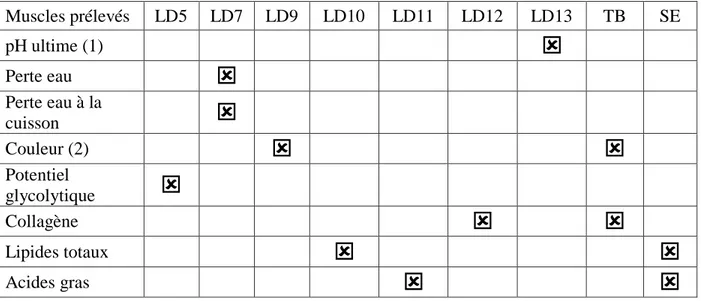 Tableau  2  :  Les  sites  de  prélèvements  musculaires  et  leurs  destinations  analytiques  lors  des  expérimentations