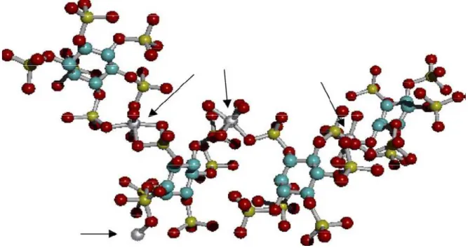 Figure  7  Schéma  de  la  structure  moléculaire  de  Na 3 Mn 5   *  (C 6 H 6 O 24 P 6 )OH  *  9H 2 O  ou  de 
