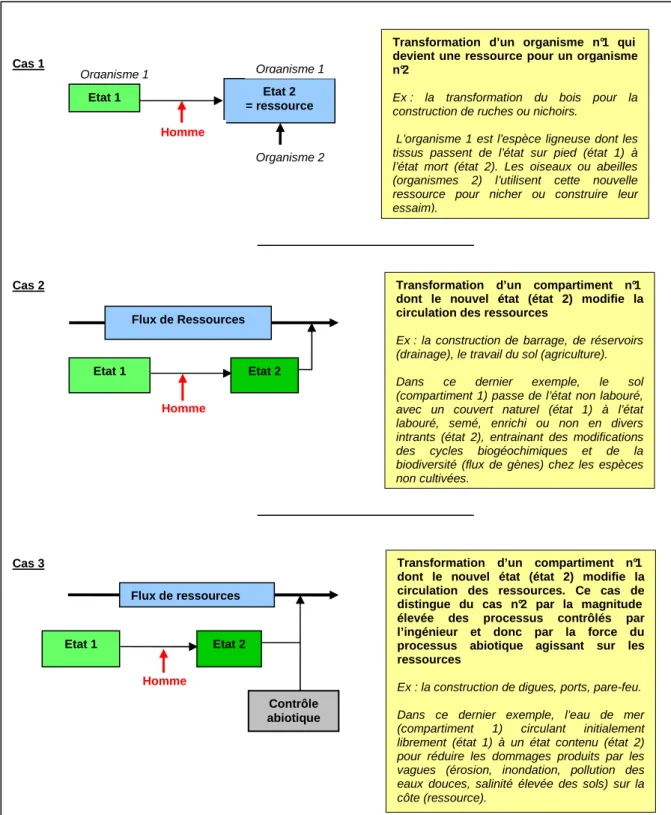 Figure  1-2:  Modèles  conceptuels  d'ingénierie  écologique  allogénique  :  application  à  l'homme  comme  organisme  ingénieur  (modifié de Jones et al 1994)