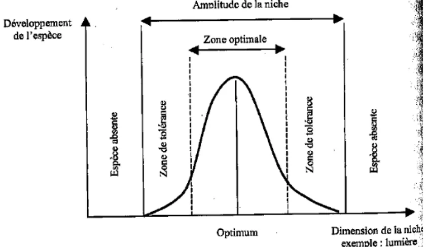 Figure  2-3 :  Représentation  schématique  de l’amplitude de la niche écologique d’une  espèce (Bouzillé 2007) 