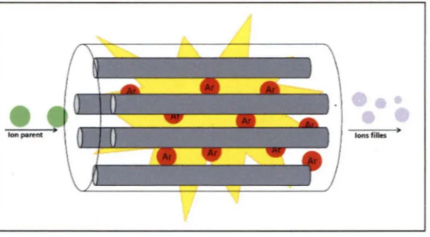 Figure 10 : La cellule de collision 