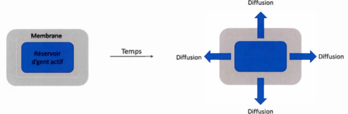 Figure  1.4 Systèmes  à  diffusion contrôlée ,  type réservoir. 