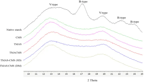Figure 2. X-ray diffraction patterns of native starch  (Hylon  VII),  and  of  CMS,  TMAS,  TMACMS,  TMAS-CMS (spray drying (SD)), and TMAS:CMS (dry mixed (DM)) starch products