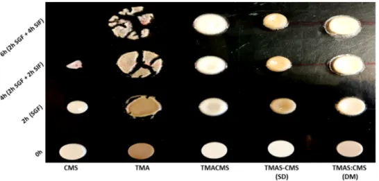 Table 1. Micromeritic properties of starch derivatives. HF: Hausner’s factor; CI: compressibility index