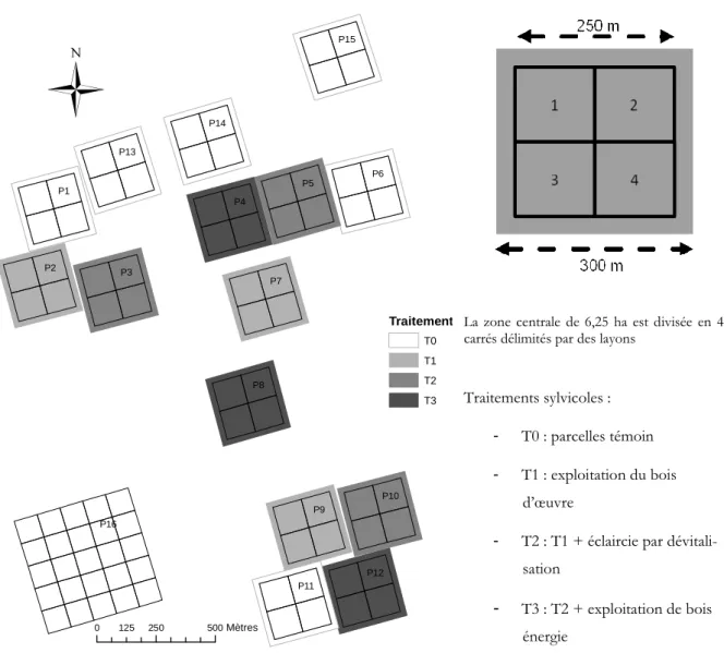 Figure 1-2 : Schéma du dispositif de Paracou et détail d’une parcelle. 