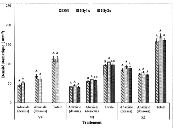 Figure  2.2: Comparaison  des  moyennes  (n=  12)  des  densités  stomatiques  des  plants de maïs en fonction des traitements et des surfaces foliaires aux différents  stades de développement (V  4, V8 et R2)