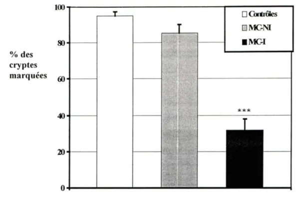 Figure 8.  Expression de la ténascine-C dans la région péricryptale intestinale. 