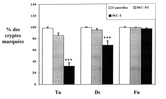 Figure 13.  Comparaison  de  l'expression  de la  ténascine-C,  de la  décorine  et  de la 