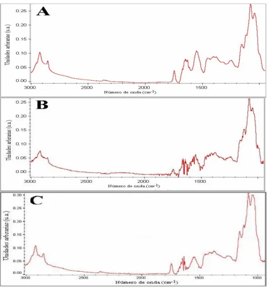 Figura 6.3 Espectros infrarrojo medio (3000-950 cm -1 ) leche y productos similares respecto a la NOM-