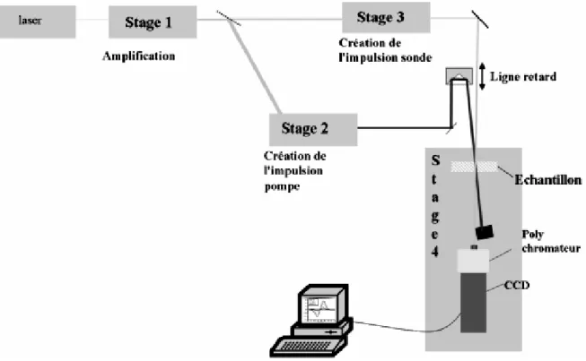 Figure  3.2 : Schéma de l'expérience femtoseconde.