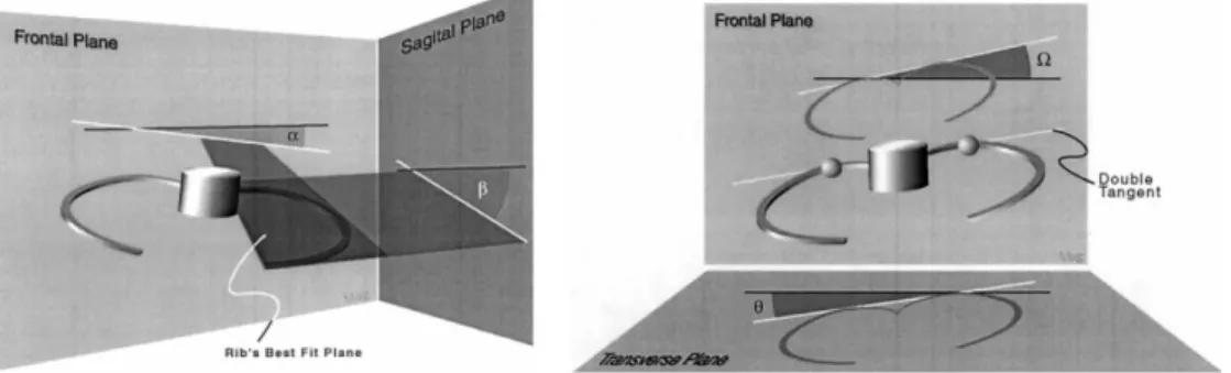 Figure 4 : Paramètres d'orientation des côtes et arc costaux déterminés par Delorme et coll., 2001 