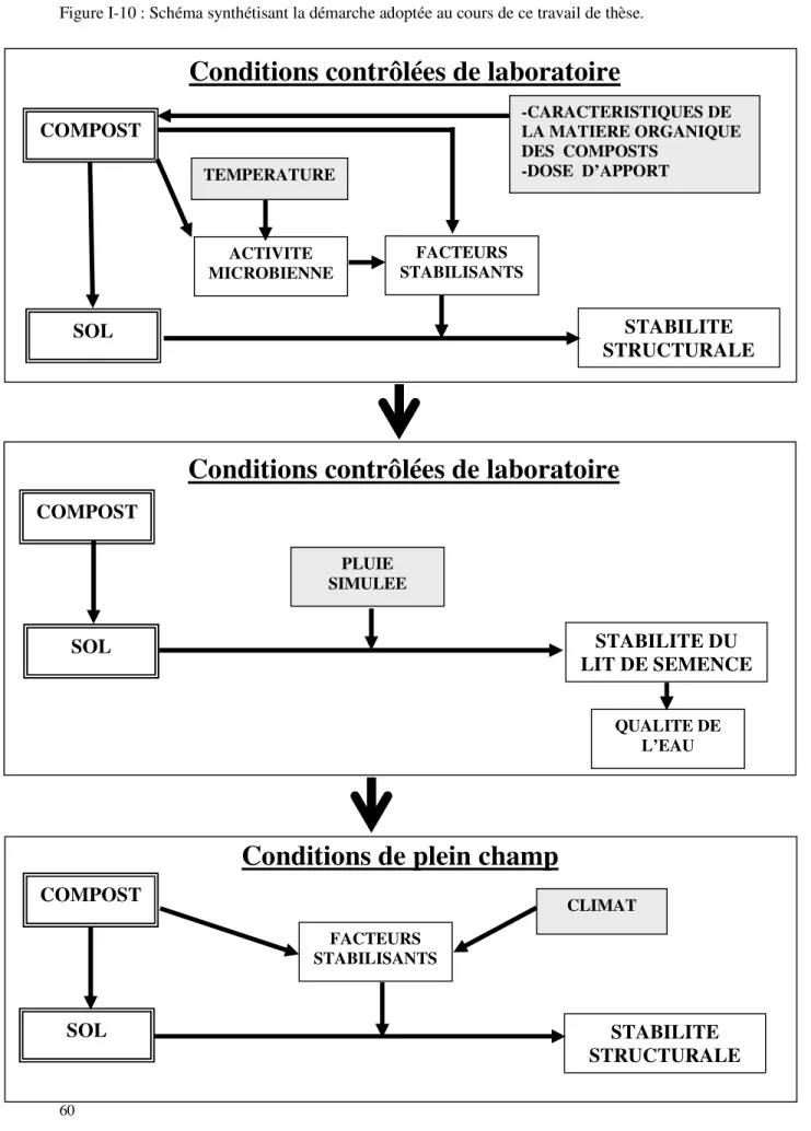 Figure I-10 : Schéma synthétisant la démarche adoptée au cours de ce travail de thèse