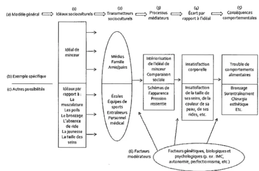 Figure 3.1. Représentation schématique du modèle socioculturel 