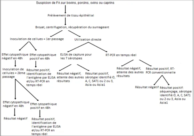 Figure 5 : Méthodes de diagnostic virologique et moléculaire   Source : (Afssa 2009) 