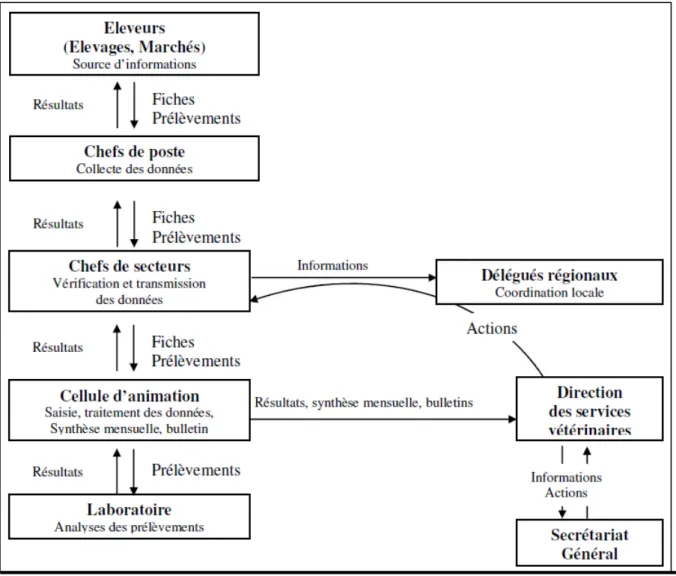 Figure 9 : Schéma de fonctionnement du REPIMAT   Source : (Ouagal, Berkvens, et Hendrikx 2004) 