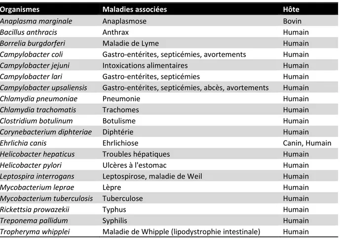 Tableau 1 : Exemples de bactéries pathogènes possédant le gène thyX et maladies associées 