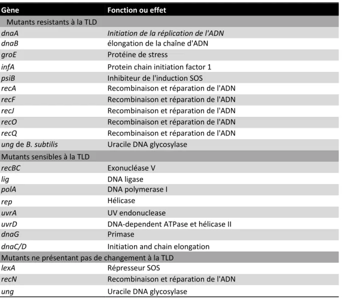 Tableau 3 : Modulation de la TLD par mutation dans des gènes de la réparation de l’ADN [d’après (Ahmad et coll., 1998)] 