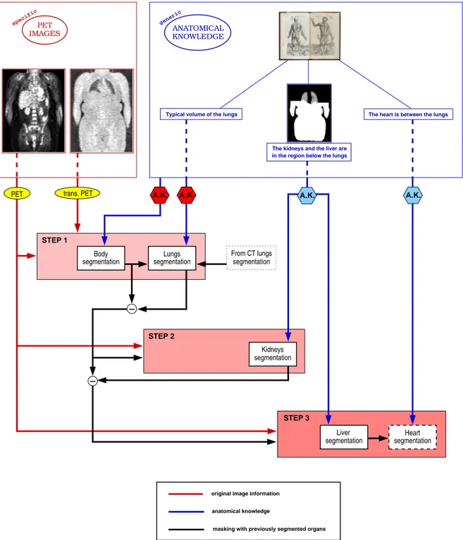 Figure 3.2: General diagram for segmentation of PET images. General anatomical knowledge (A.K.) is