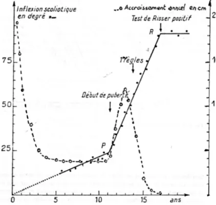 Fig. 2.11 – Diagramme des lois d’´evolution des scolioses selon Mme Duval-beaup`ere (d’apr`es [Duval-Beaupere 1988])
