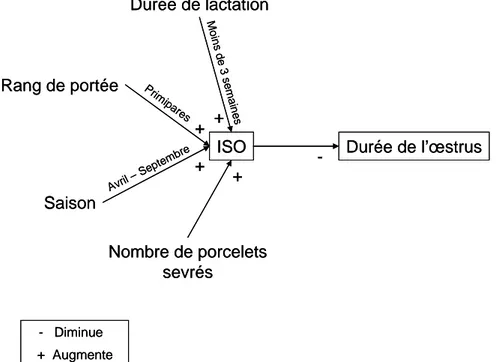 Figure I.3 : Synthèse des différents facteurs modifiant l’Intervalle Sevrage Oestrus (ISO) et la durée 