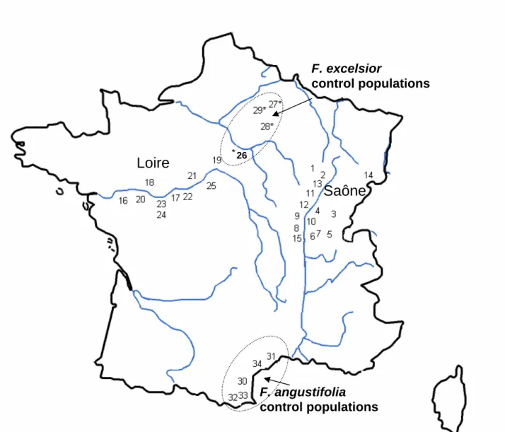 Figure 1  Loire  Saône  F. angustifolia  control populations  F. excelsior   control populations 26 