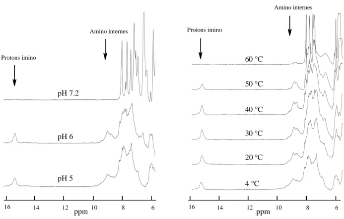 Figure  3.2. :  Spectres  RMN  à  500  MHz  du  fragment  d’ADN  télomérique  de  levure  d[(C 3 ACA) 3 C 3 A]