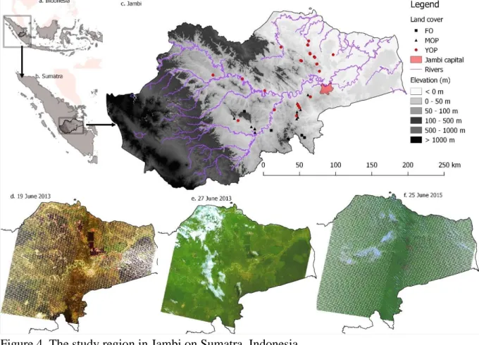 Figure 4. The study region in Jambi on Sumatra, Indonesia 