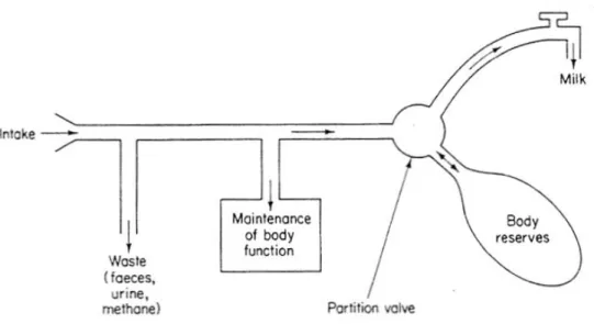 Figure 3  Owen (1978): Figure 11.1 Model cow. 