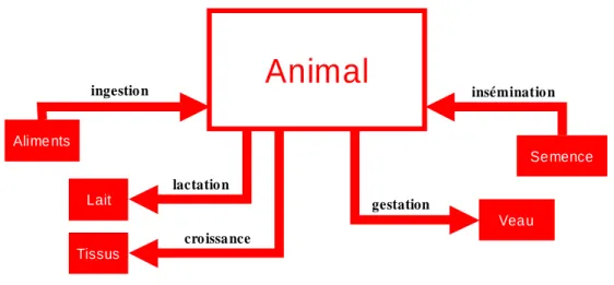 Figure 4  Représentation de l’animal en tant qu’interface. 