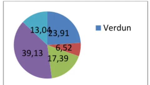 Figure 2: Socio-Professional category of respondents  (in %) 