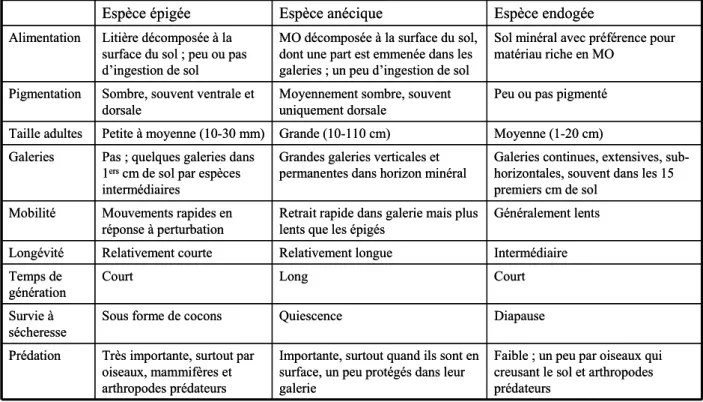 Tableau 1.2. Principales caractéristiques des trois catégories écologiques de vers de terre 