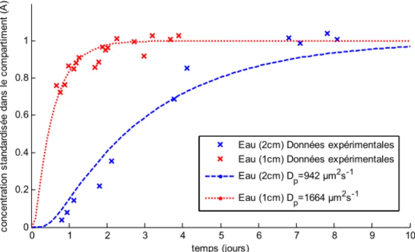 Figure 10.4. Cinétiques de libération de l’hexanoate d’éthyle dans l’eau, h=1 ou 2 cm, à 25 °C