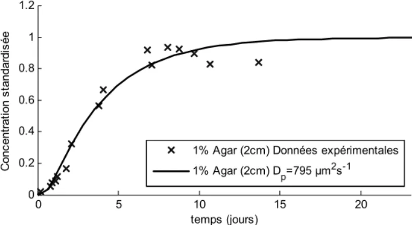 Figure 10.5. Cinétique de libération de l’hexanoate d’éthyle dans une matrice eau + 1 % d’agar, à 25 °C