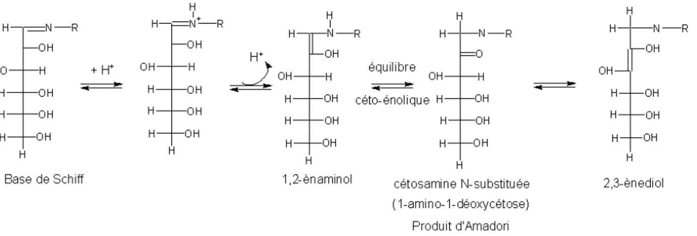Figure  4 :  Schéma  de  la  formation  du  composé  d’Amadori  dans  la  réaction  de  Maillard  entre  le  glucose et un composé aminé (d’après Chuyen et al., 1998) 