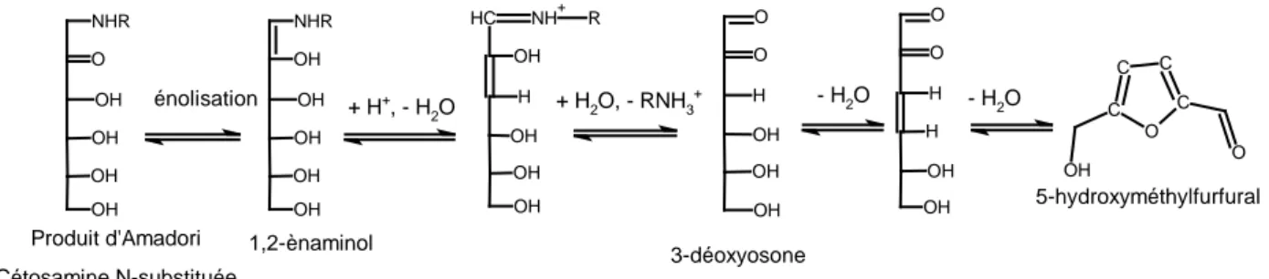 Figure  5 :  Schéma  de  la  réaction  de  déshydratation  forte  conduisant  à  la  formation  de  composés 