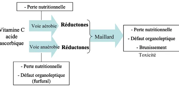 Figure 5. Voies de dégradation de la vitamine C et effets sur la qualité du jus d’orange  