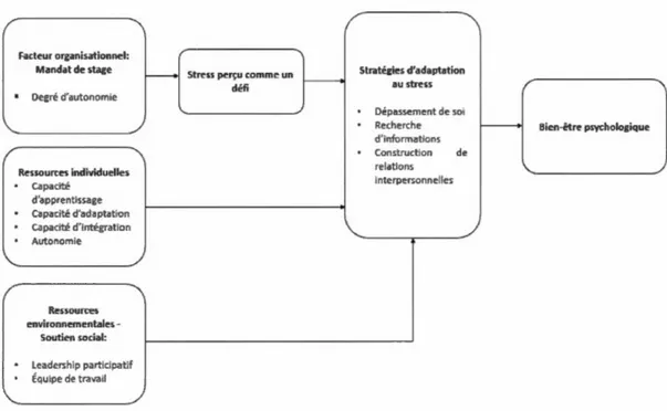 Figure 4.3  Les facteurs  environnementaux et  individuels et les  stratégies d ' adaptation 