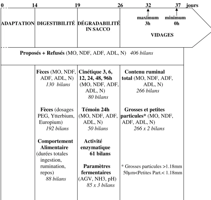 Figure 2. Déroulement schématique d’une période expérimentale et mesures effectuées au 