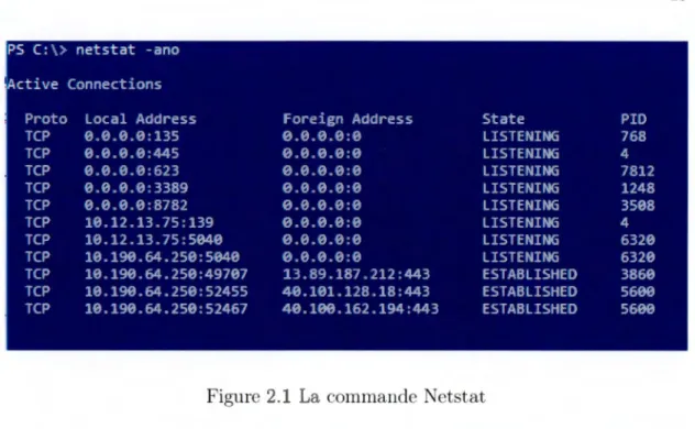 Figure 2.1  La  commande Netstat 