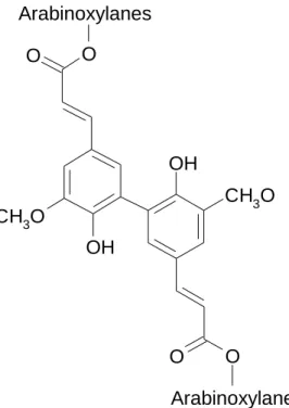 Figure  23.  Exemple  de  liaison  covalente  entre  des  résidus  d’acide  férulique  reliant  deux  chaînes d’arabinoxylanes 