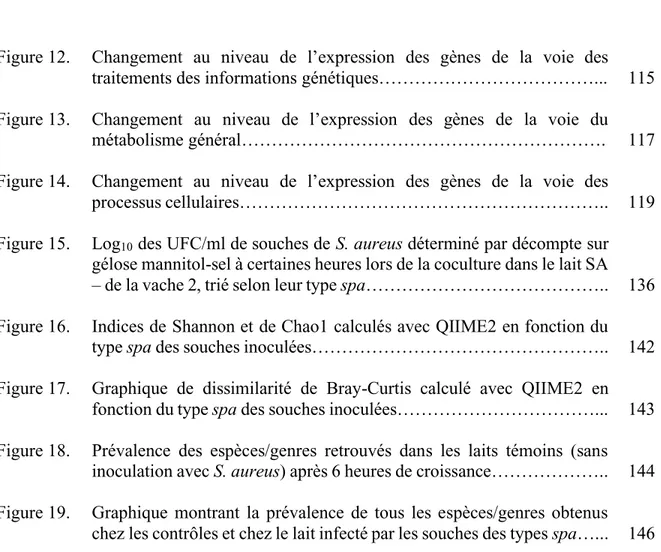 Figure 12.  Changement  au  niveau  de  l’expression  des  gènes  de  la  voie  des  traitements des informations génétiques………………………………..