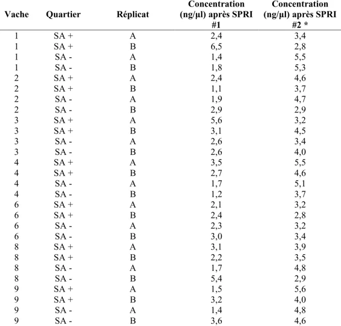 Tableau  3 :  Concentration  d’ADN  obtenu  après  le  premier  et  le  deuxième  cycle  d’amplification et de purification par SPRI