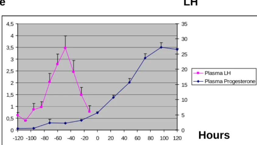 Figure  13:  Plasma  LH  (ng/mL)  and  progesterone  (ng/mL)  before  and  after  ovulation  estimated  by  ultrasound  (noted  0)  in  Group  1
