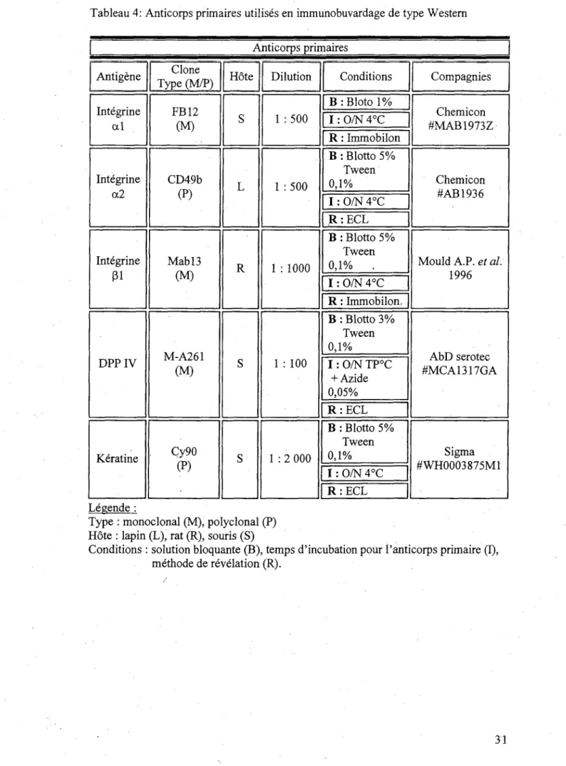 Tableau 4: Anticorps primaires utilises en immunobuvardage de type Western  Anticorps primaires  Antigene  Integrine  al  Integrine  a2  Integrine  01  DPP IV  K6ratine  Clone  Type (M/P) FB12 CM) CD49b (P) Mabl3 (M) M-A261 (M) Cy90  (P)  Hote S L R S S  D