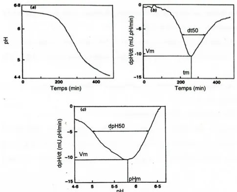 Figure I.2 : évolution du pH et de la vitesse d’acidification (dpH/dt) lors de l’incubation de 