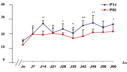 Figure  14:  Prise  alimentaire  cumulée  moyenne  (g)  journalière  des  deux  groupes     P50%PLT     (n=30) et P14%PLT (n=30)