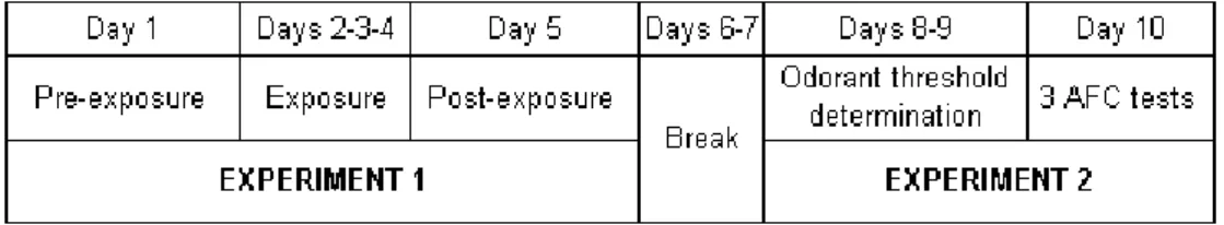 Table 1: Steps and duration of experiments 1 and 2