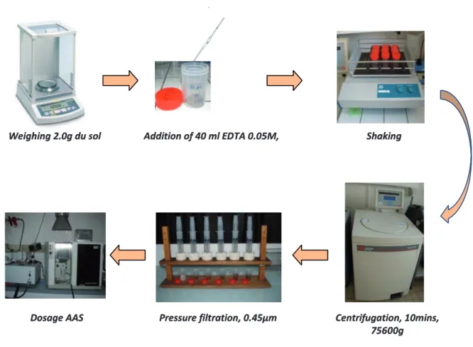 Figure 2.3: Schematic diagram of various steps of trace metal extraction. 