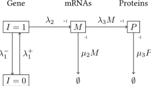 Figure 1.7: hree-stage model presentation exponentially randomly distributed time of rate λ +