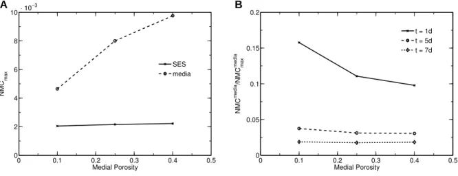 Figure 2.4: Sensitivity analysis (paclitaxel). A: Dependence of maximum normalized mean concentra- concentra-tion (NMC) in the subendothelial space (SES) and media on medial porosity